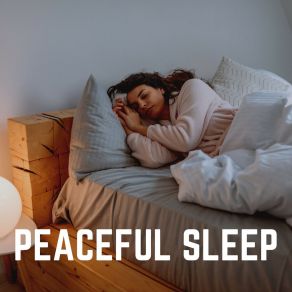 Download track Ambient Attention, Pt. 17 Sleep Music Library
