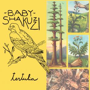 Download track Dos Por Uno Baby Shakuzzi