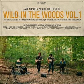 Download track This Is Wild In The Woods Jane'S Party