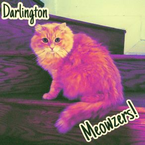 Download track Go Skate Or Go Home Darlington