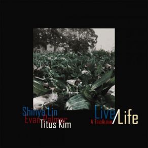 Download track The 57 Bus Shinya Lin Trio