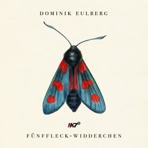 Download track Funffleck - Widderchen Dominik Eulberg