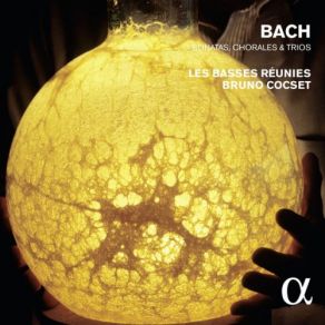 Download track Trio A 2 Clavier E Pedale, BWV 583 (Adagio) Les Basses Réunies, Bruno Cocset