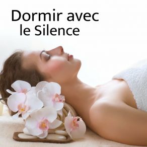 Download track Musique Et Méditation Profonde Pour Le Sommeil Relaxation SommeilMéditation Profonde Pour Le Sommeil