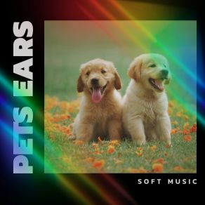 Download track Best Friend Sleepy Dogs