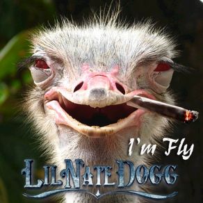 Download track I'm Fly Lil Nate Dogg