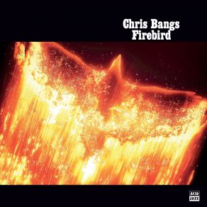 Download track Circuit Break Chris Bangs