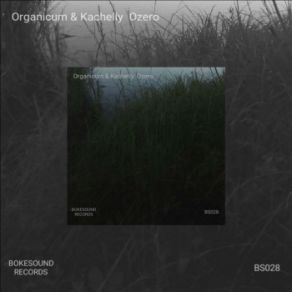 Download track Ozero (Original Mix) Kachelly, Organicum