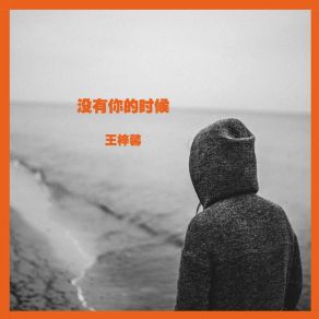 Download track 没有你的时候 王梓馨