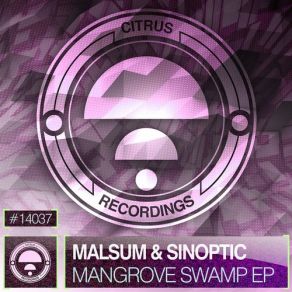 Download track Transhuman Malsum & Sinoptic