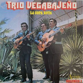 Download track La Copa Rota Trio Vegabajeño