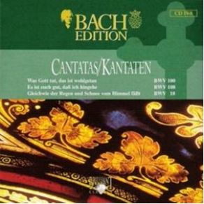 Download track Gleichwie Der Regen Und Schnee Vom Himmel Fällt BWV 18 - I Sinfonia Johann Sebastian Bach