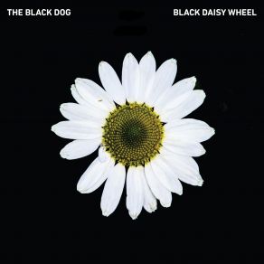 Download track Lost To The Black Sun The Black Dog