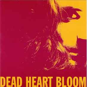 Download track Transfiguration Dead Heart Bloom