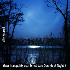 Download track Sheer Tranquility With Forest Lake Sounds At Night, Pt. 17 Steve Brassel