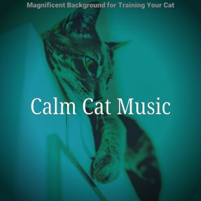 Download track Cultured Jazz Guitar Trio - Vibe For Training Your Cat Calm Cat Music