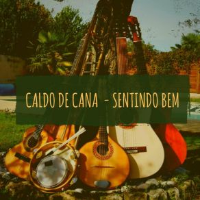 Download track Picada Da Abelha Caldo De Cana