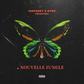 Download track Asile Farfadet