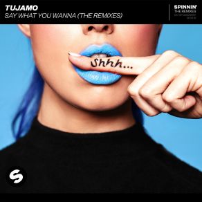 Download track Say What You Wanna (Mizmo Remix) Tujamo