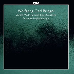 Download track Madrigalische Trostgesänge: No. 9, Wir Sind Getrost Allezeit Ensemble Polyharmonique