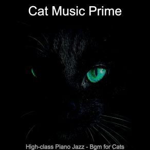 Download track Stellar Music For Cute Cats Cat Music Prime