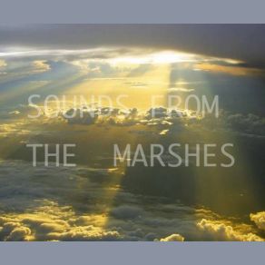 Download track The Rising Song Sounds From The Marshes