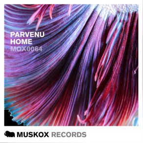 Download track Home (Original Mix) Parvenu