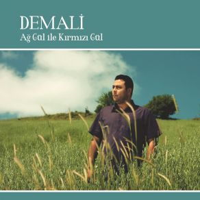 Download track Ağ Gül İle Kırmızı Gül Demali