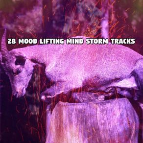 Download track Flooding The Mind Ambient Rain