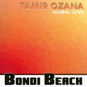 Download track Global Love Tamir Ozana