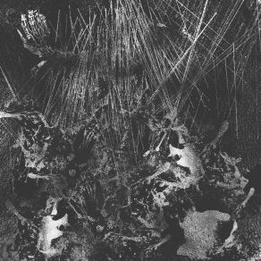 Download track Felled Plume Knoll