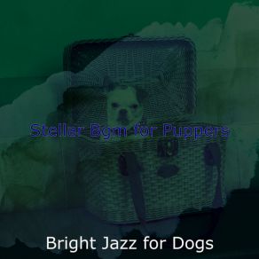 Download track Wonderful Ambiance For Walking Dogs Bright Jazz For Dogs