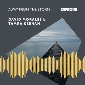 Download track Away From The Storm (Disco Madness Mix) David Morales