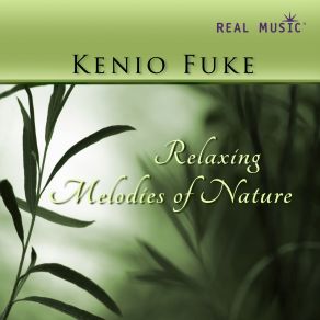 Download track Magical Land Kenio Fuke