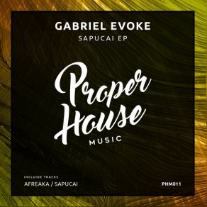 Download track Sapucai Gabriel Evoke