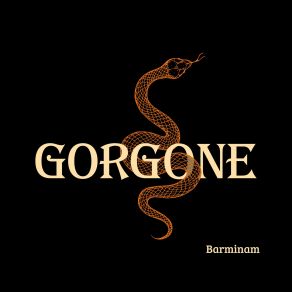 Download track Bidi Zonker Gorgone