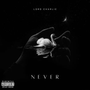 Download track Never Home Lord Charlie