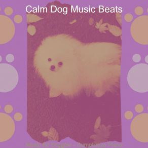 Download track Sublime Relaxing Dogs Calm Dog Music Beats