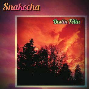 Download track Couleurs Éternelles Snakecha