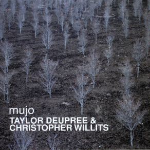 Download track Hybrid Christopher Willits, Taylor Deupree