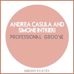 Download track Professional Groove Andrea Casula