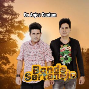 Download track A Rosa E O Beija-Flor Bonde Sertanejo