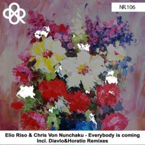 Download track Everybody Is Coming (Diavlo Remix) Elio Riso, Chris Nunchaku