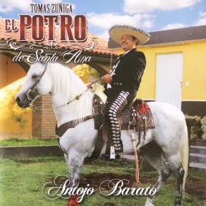 Download track Como Tu Decidas Tomas Zúñiga El Potro De Santa Ana