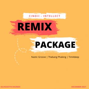 Download track Intellect (TimAdeep's Garden Party Mix) Cindii