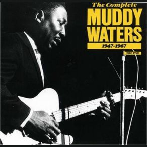 Download track Baby I Done Got Wise Muddy Waters