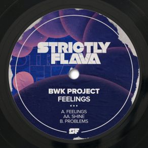 Download track Shine BWK Project