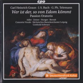 Download track Aria (B) Concerto Vocale, Gotthold Schwarz, Sächsisches BarockorchesterCarl Heinrich Graun