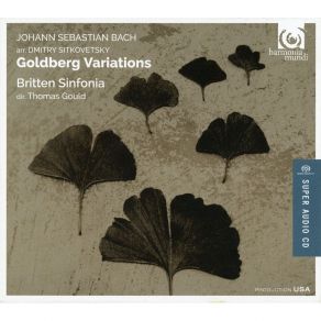 Download track 25. Variation 24 Canone Allottava Johann Sebastian Bach