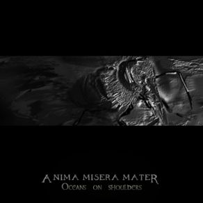 Download track Honey Rivers (Edit)  Anima Misera Mater